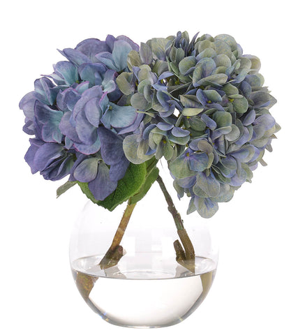 6" BLUE HYDRANGEA IN GLASS