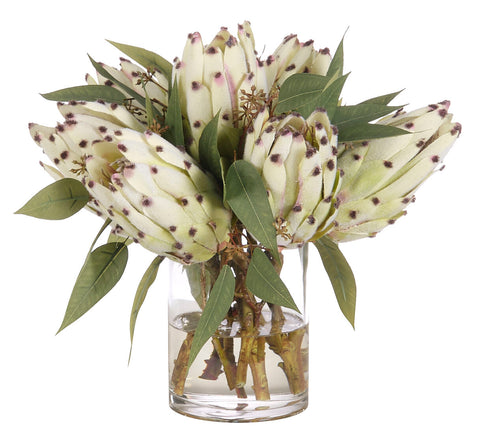13" PROTEA IN GLASS CYLINDER