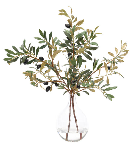23" OLIVE BRANCH IN GLASS VASE