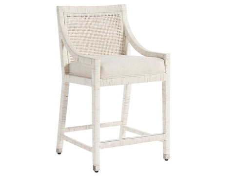 Tern Counter Stool