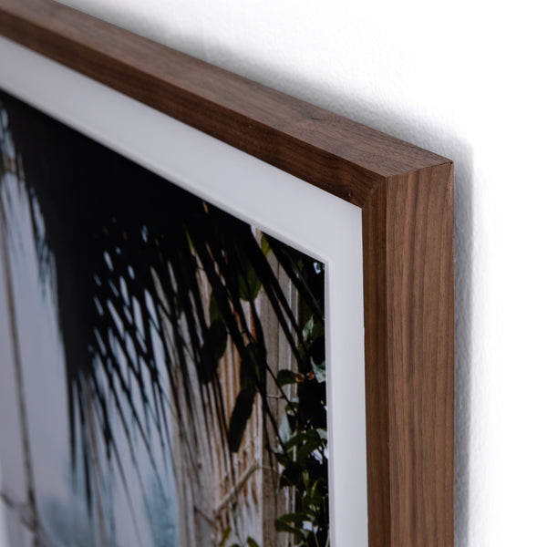 Greenhouse Framed Photo