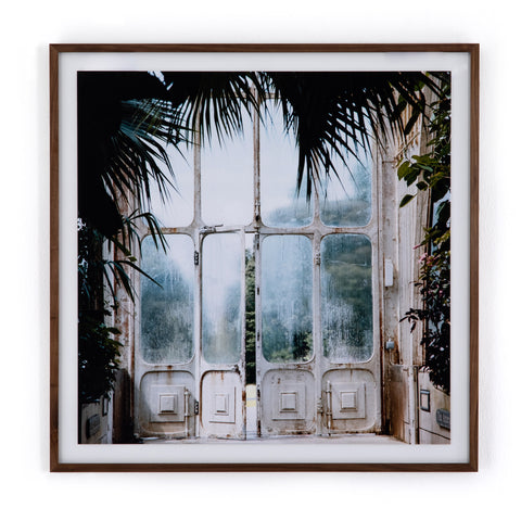 Greenhouse Framed Photo