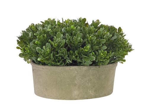 Faux Boxwood in Pot