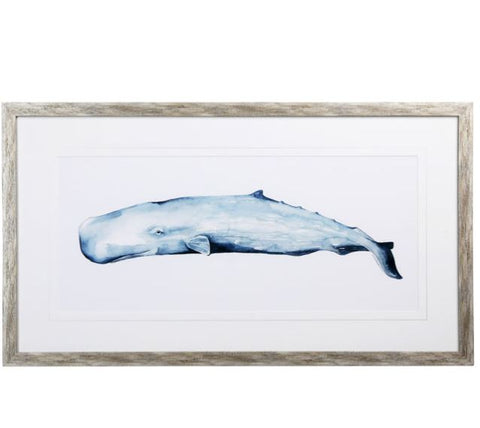 Sperm Whale Portrait