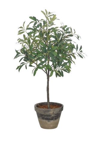 Faux Potted Olive Tree 2