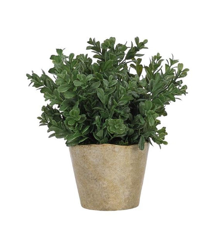 Faux Small Boxwood in Pot