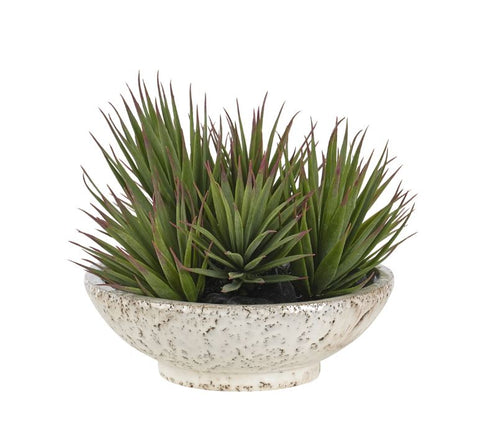 Faux Yucca in Ceramic Bowl
