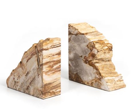 Petrified Wood Book Ends