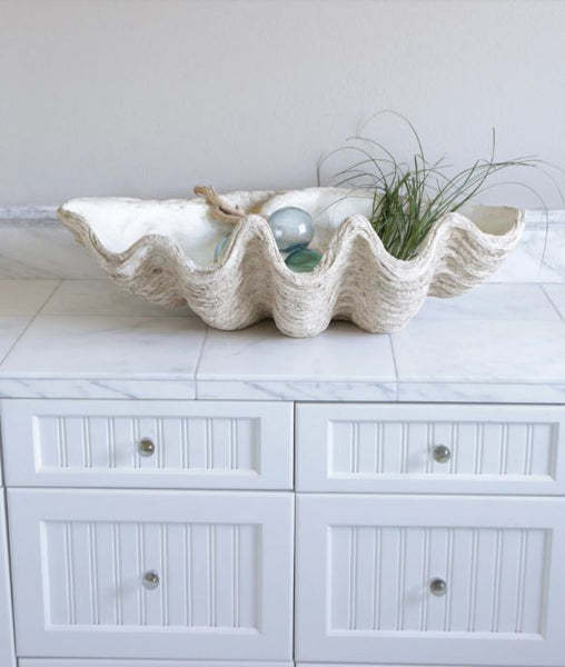 Magnesia Seashell