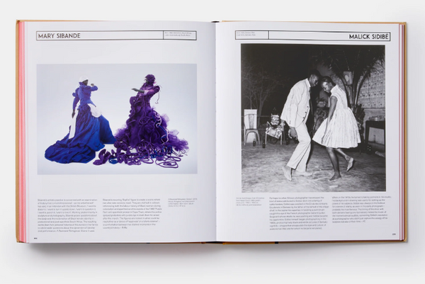 African Artists: From 1882 to Now