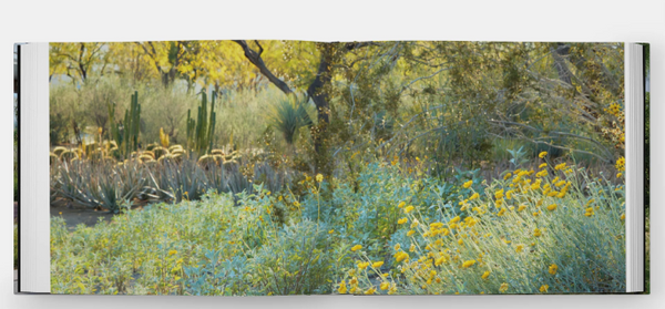 Envisioning Landscapes: The Transformative Environments of OJB