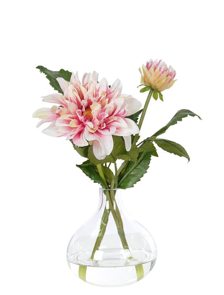 12" DAHLIA ROSE IN GLASS BUBBLE