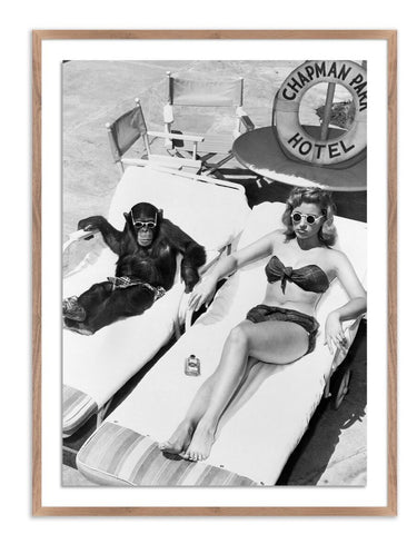 SUNBATHING WITH CHIMPANZEE