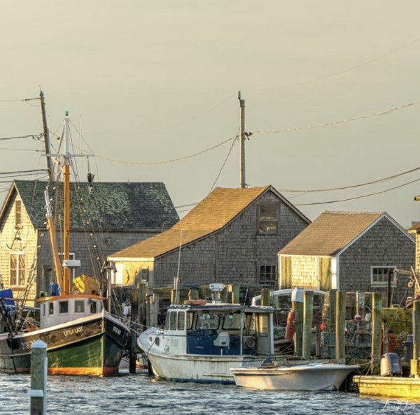 Menemsha Morning, by Local artist Larry Glick