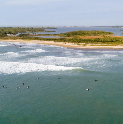 Squibby Surfers by Local artist Larry Glick