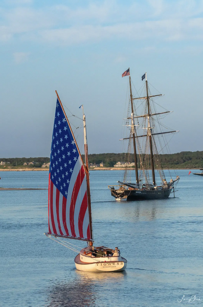 TIGRESS & SHENANDOAH LEAVING 37"X26", BY LOCAL ARTIST LARRY GLICK