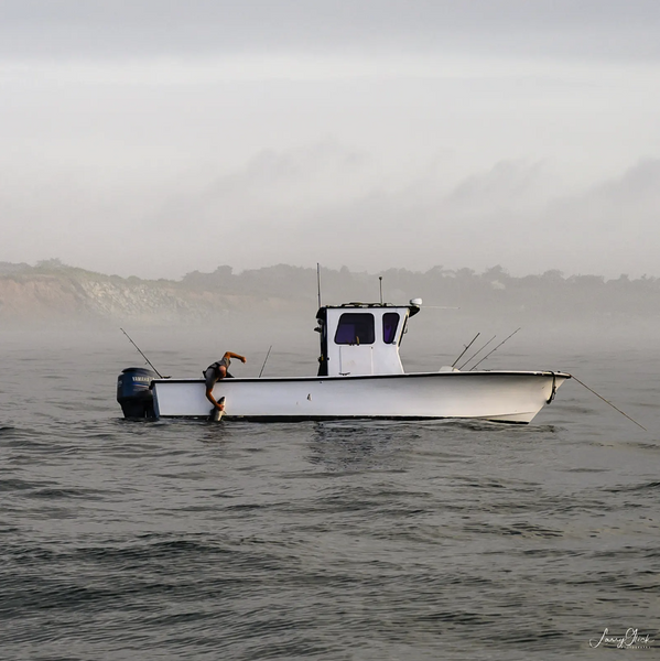 FISH ON 30"X30", BY LOCAL ARTIST LARRY GLICK