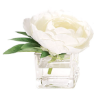 5" WHITE PEONY IN GLASS CUBE