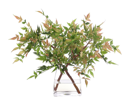 NANDINA BERRY BRANCH