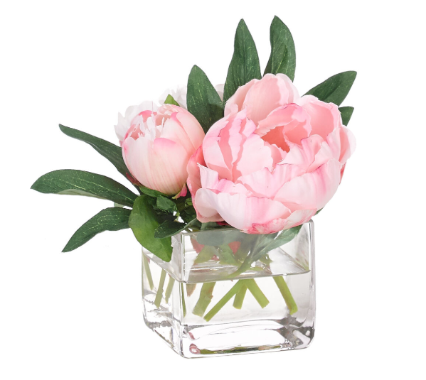 PEONY IN GLASS CUBE