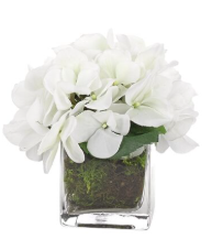 WHITE HYDRANGEA IN GLASS CUBE