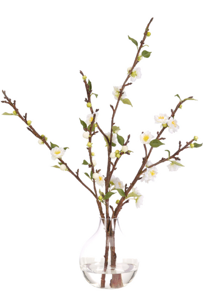 BRANCH PRUNUS WHITE IN GLASS VASE