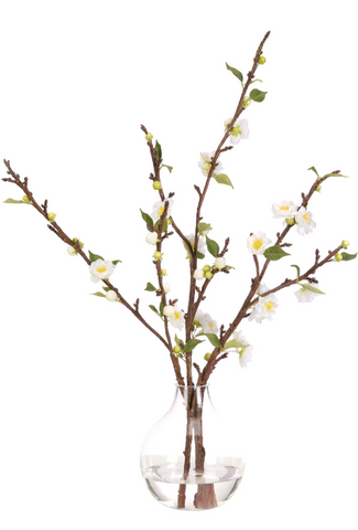BRANCH PRUNUS WHITE IN GLASS VASE