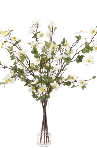 WHITE DOGWOOD BRANCH IN GLASS VASE