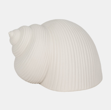 6" BONNET SEASHELL
