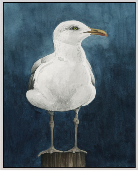 NIGHT GULL I