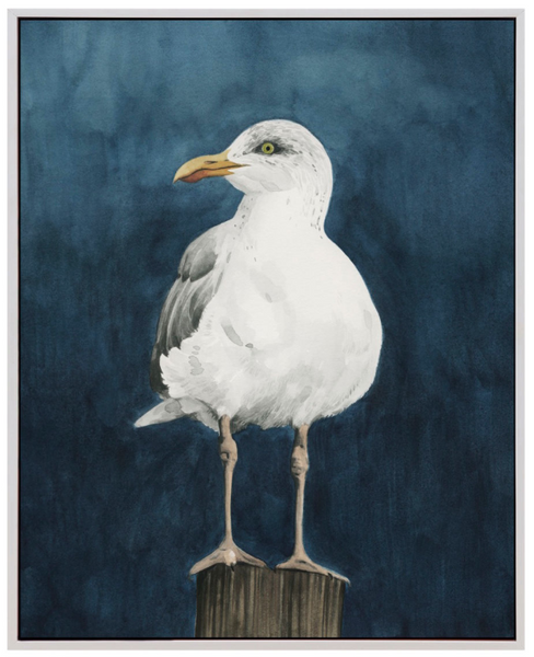 NIGHT GULL II