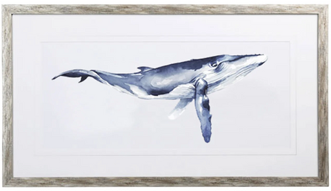 WHALE PORTRAIT - HUMPBACK