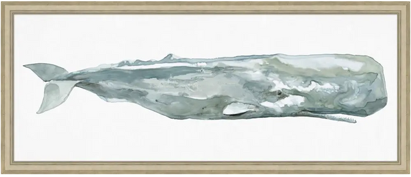 SPERM WHALE