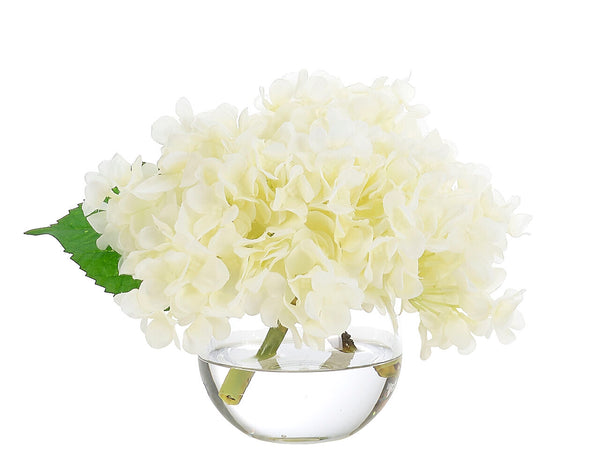 6" WHITE HYDRANGEA IN GLASS