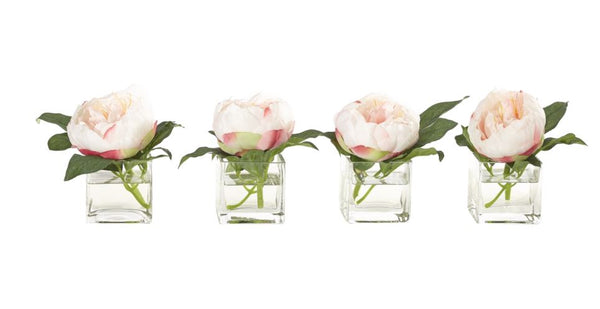 Faux Mini Peony in Glass Cube