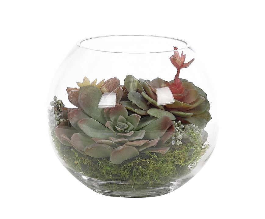fake succulents in glass Faux Succulents in Glass Bubble