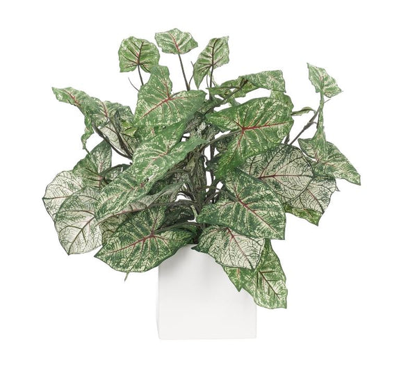 Faux Caladium in a White Ceramic Cube